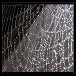 Pavoučí kouzlo III.