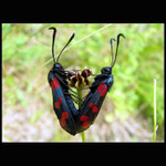 mezi čtyřma očima