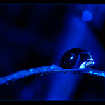 Ve snech ukrytá 3 ...