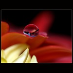 ... když ne duhovou, tak jakou:o)?