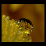 ... když blondýna čaruje:o)..