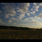 Zemědělský jih I.