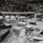 Pozůstatek vojenského objektu v lese...