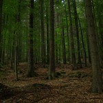 Šumava-Boubín