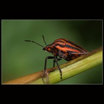 Po zadku dolůůů...