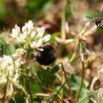 Nech mi tam taky něco...