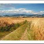 Středohoří od Slavětína