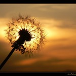 Liptovské pohľady ...podvečerné