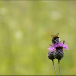 .. len si foť, vieš čo mi môžeš ...!?