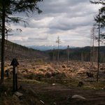 tatry