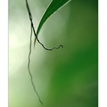 Blízká setkání třetího druhu