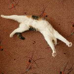 ROZCVIČKAAAAAAAAAAAA!