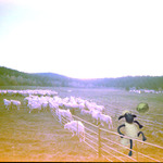 Pozdní idylické dopoledne v neděli.