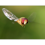 KEĎ NA TEBA VLETÍM !!!