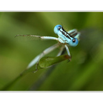 AK NEPRESTANEŠ, TAKÚ TI VRAZÍM !!!!!