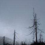 (pro lepší čekání)