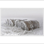 Kremrole sněhové ...