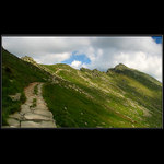 Nejvyšší z nízkých...