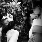 strážce jablíček