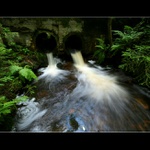 ... potoky z Vysočiny II ...