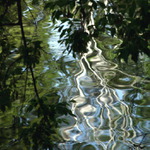 Rande s roztleskávačkou v Braníku