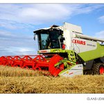 Súčasť letných dní