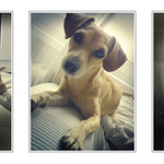 Food Art for Vjetnampípl