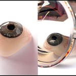 Lichooký pohled na sám sebe :-)