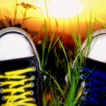 Pozdně letní nálada