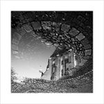 *** V kalužích ***