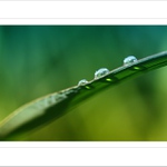 *** Prostřední ***