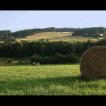 Balík kam se podívám