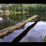 Když šel vodník na svačinu