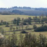 Jihoceska terasovita pole behem predjari
