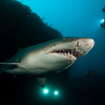 Něco pro Martina Strmisku :-)