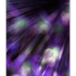 Ztracený mezi svými....