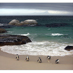 Vylodění v Boulders