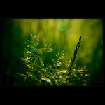 Propojeni mikrosvěta