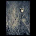 Rozhledna pro nejmenší.. ll