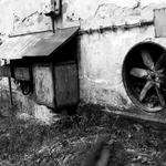 lesk a bida posumavi