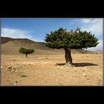 /// Manželství na dálku ///