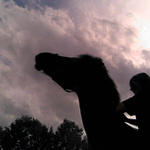 Kůň, kterej miluje drbání, a jsou za ním pěkný mraky