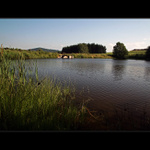 Podvečer na rybníku