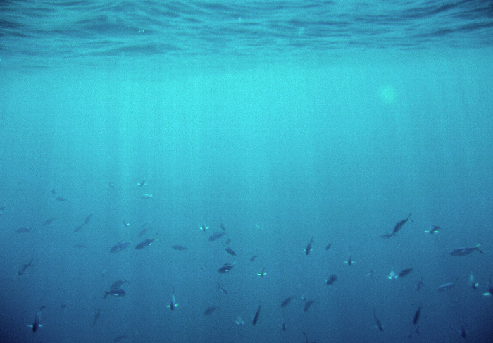 Jiný svět nebarevný