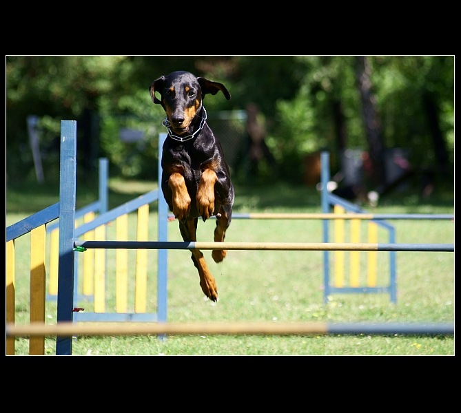 Agility...