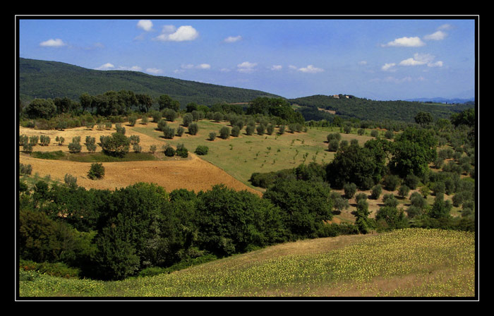 Toscano
