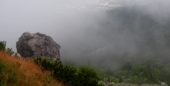 v mlze I.