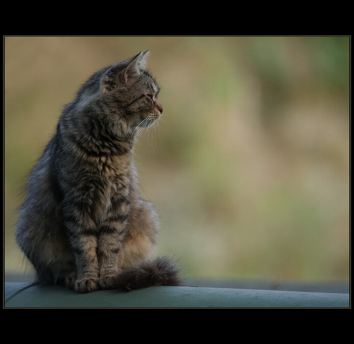 modelka :?)