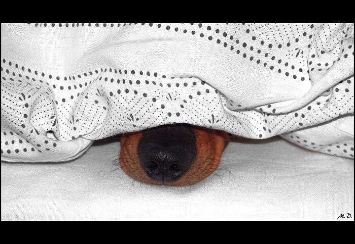 Že nevíš, kde jsem? ;)