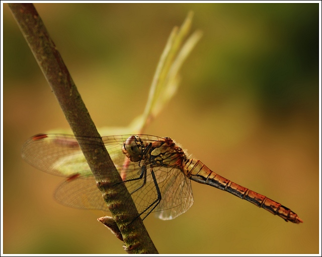 S větrem v zádech